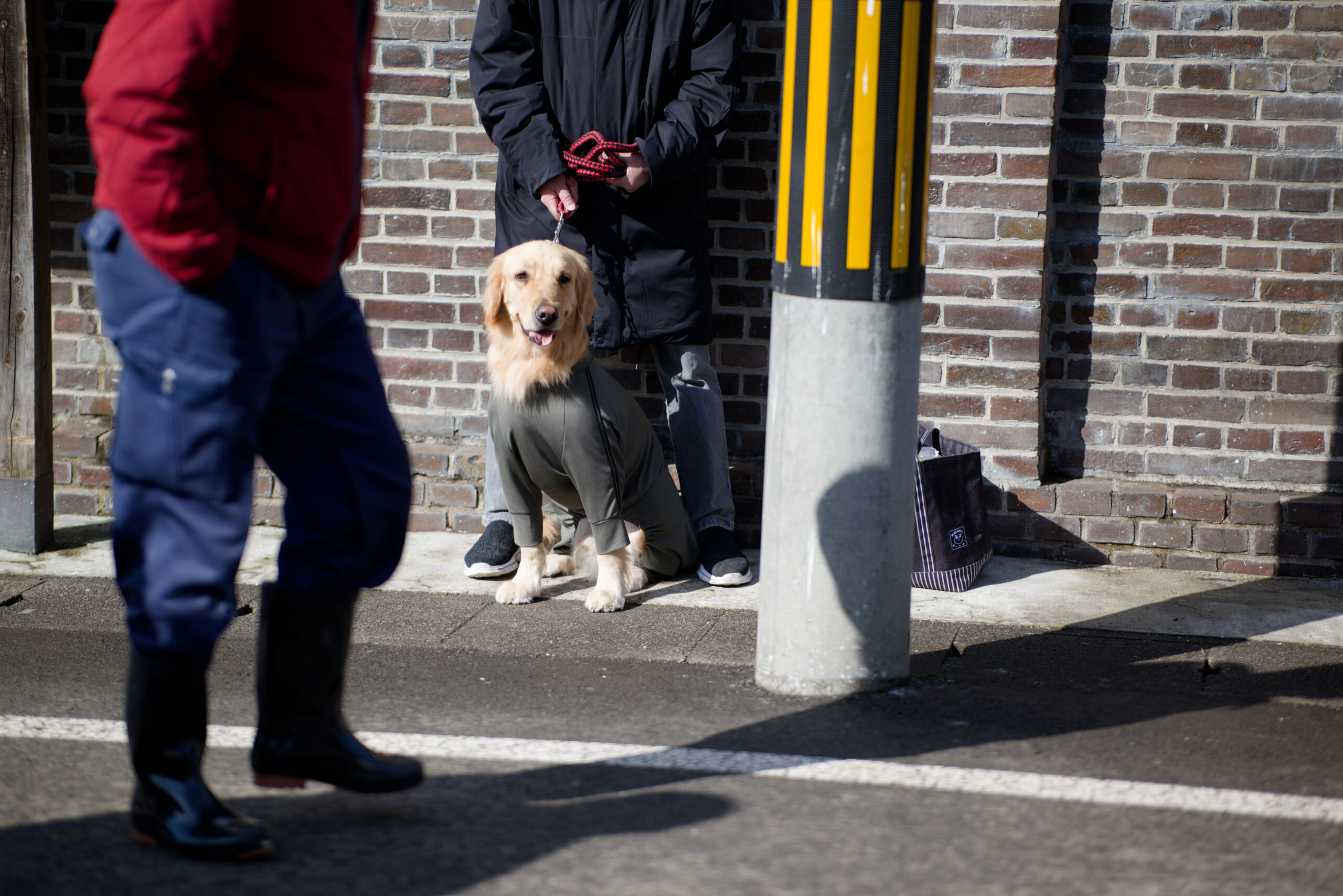 人と犬、建物